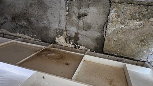 청주시 흥덕구 누수탐지 벽지 얼룩이 번진 안방 천장과 벽면 점검 장면
